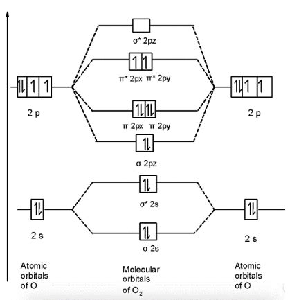 o2 electron configuration|molecular orbital configuration of o2.